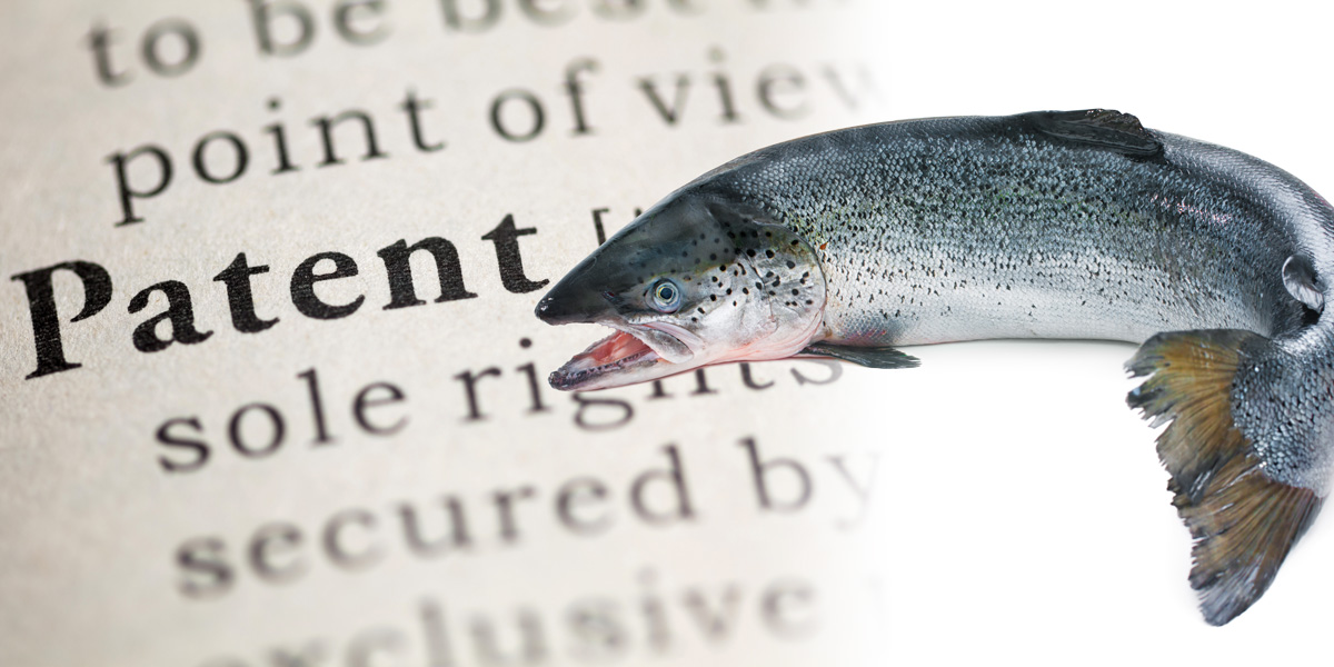 Patent and Atlantic salmon