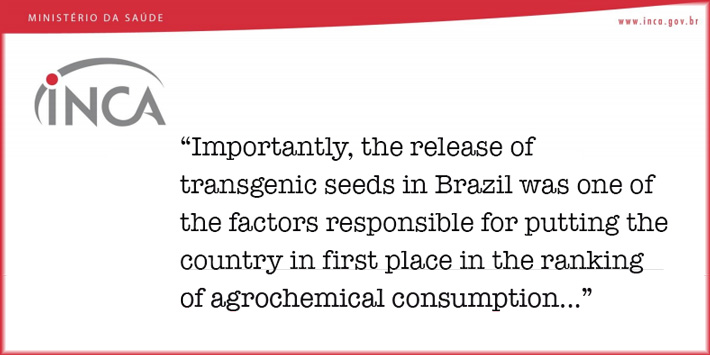 Brazils National Cancer Institute names GM crops 