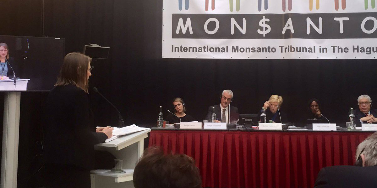 Claire Robinson gives evidence before judges at Monsanto Tribunal