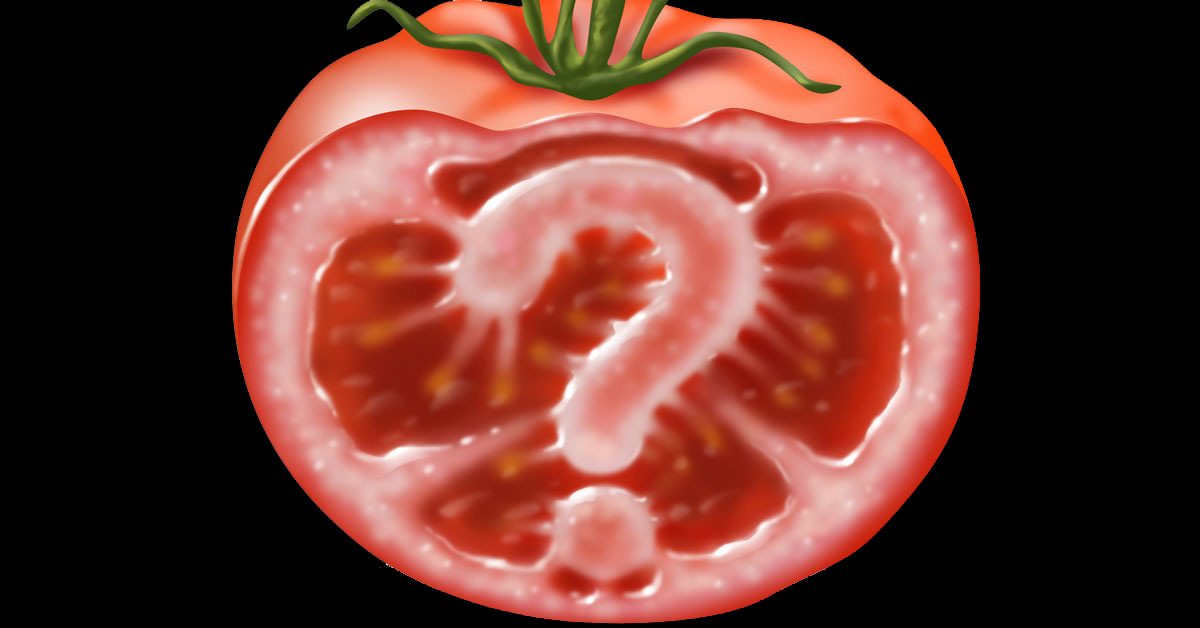 Dodgy Gene Edited Tomato, black background
