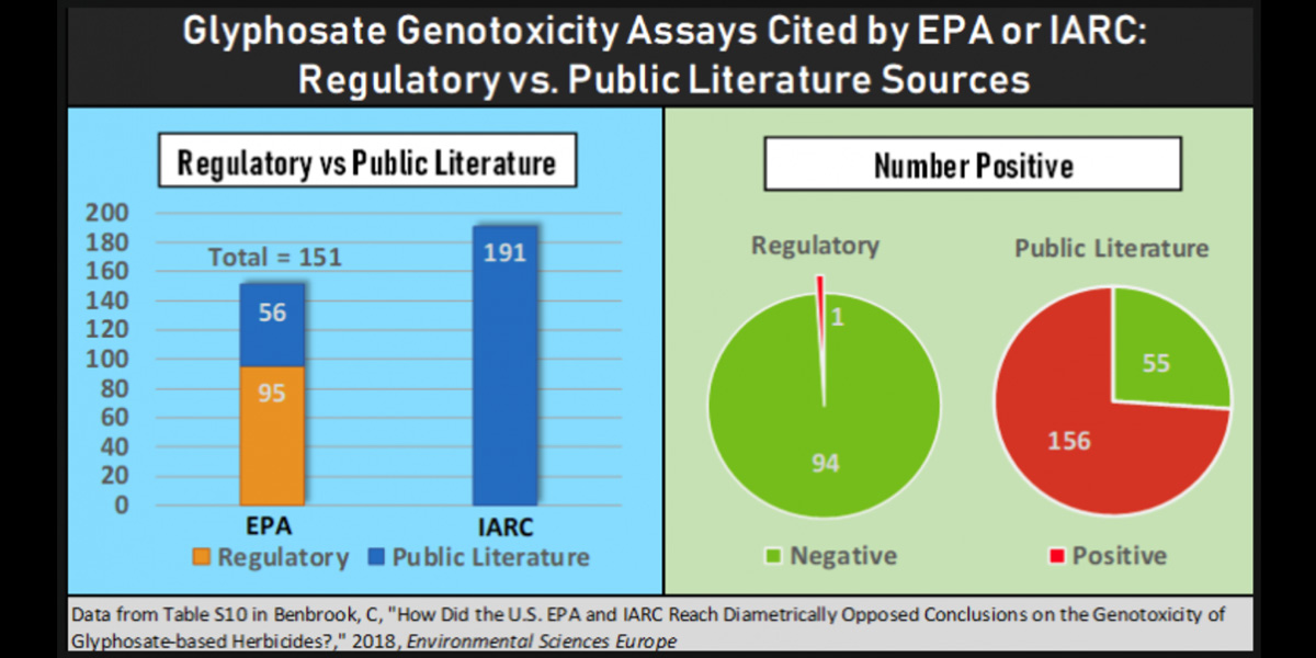 Glyphosate Genotoxicity Assay cited by EPA or IARC