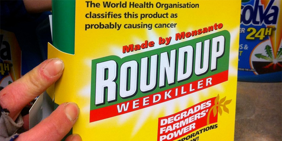 Monsanto Roundup probably carcinogen