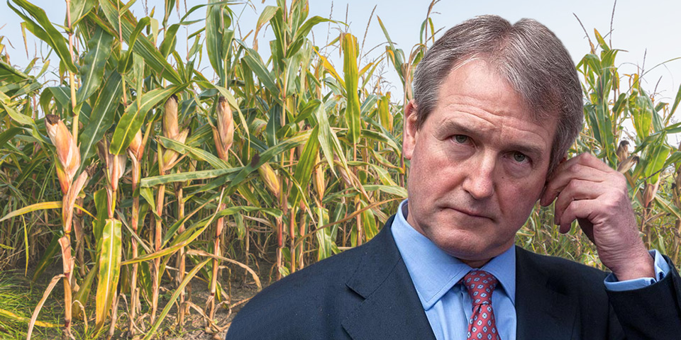 terminator symbol on Brazilian soya field