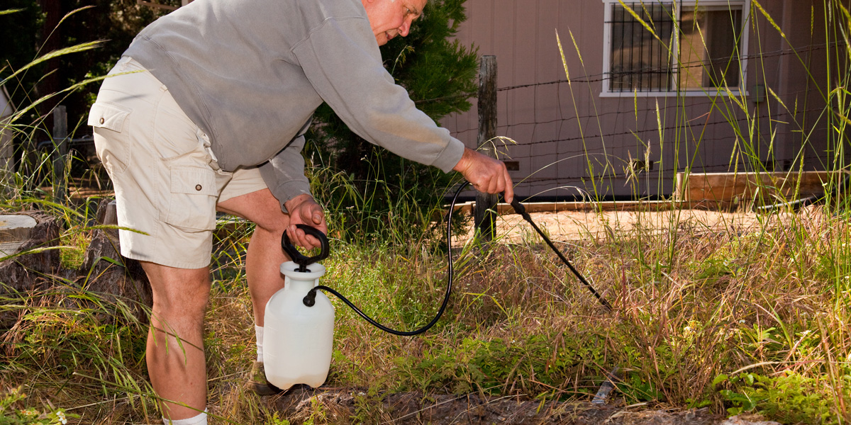 Roundup spraying in the Garden