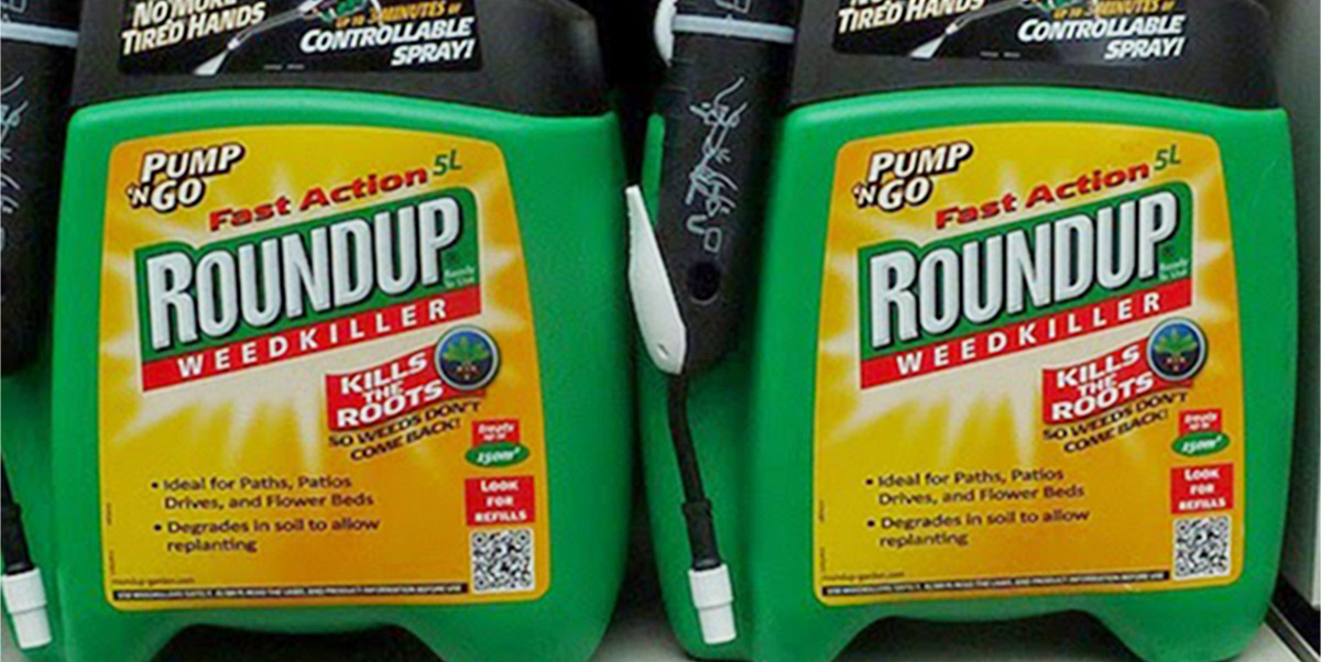Two Roundup glyphosate weedkiller containers