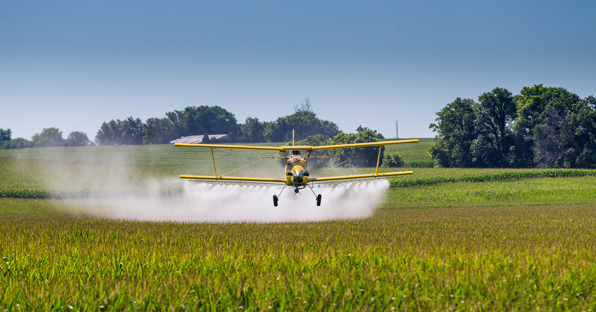 Yellow Crop Duster Plane