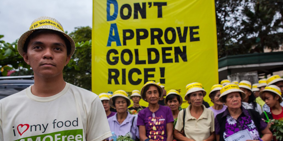 Greenpeace demo, do not approve golden rice