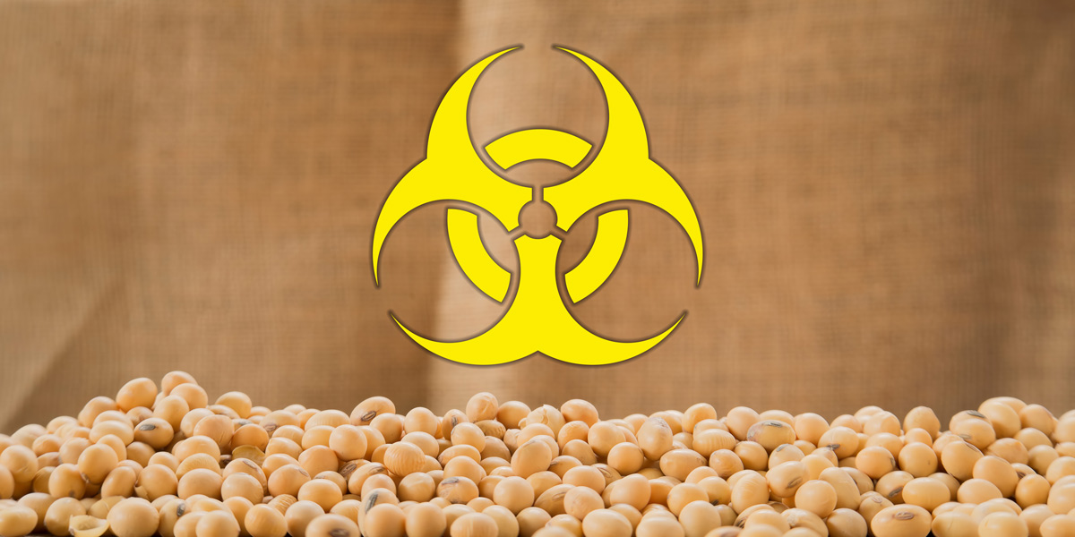 soybeans - a biohazard
