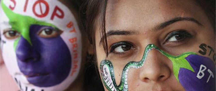 stop bt brinjal painted faces
