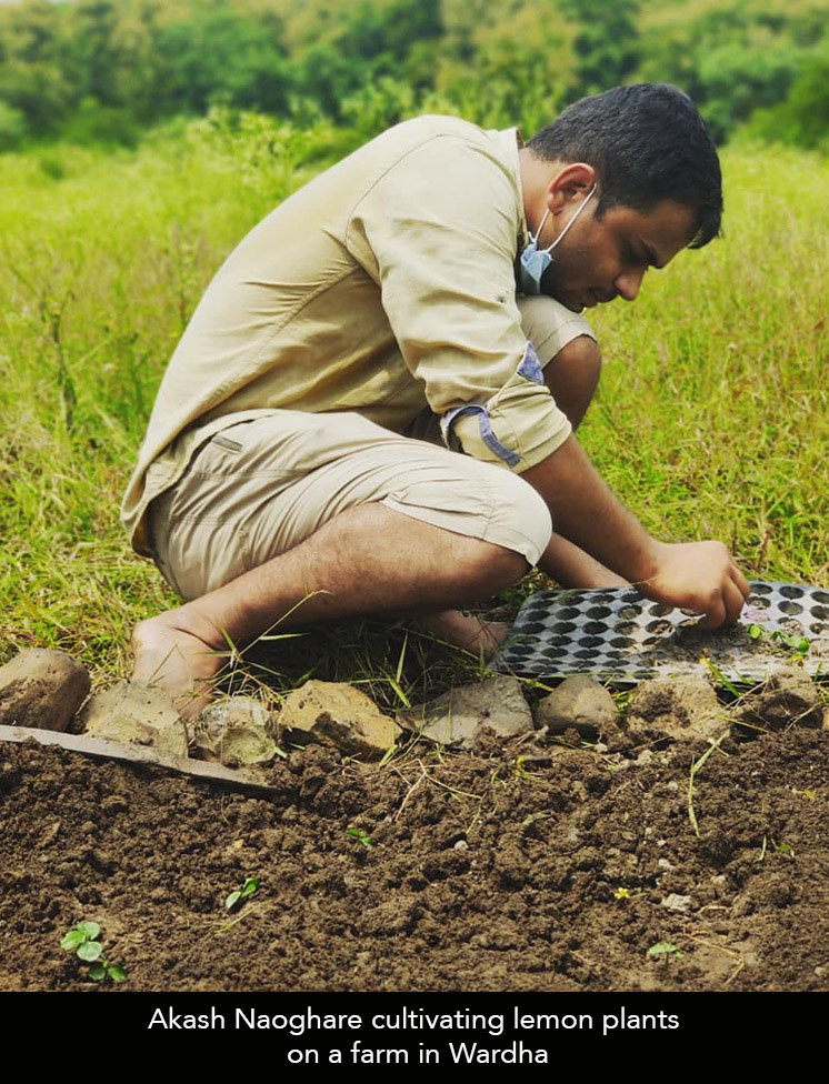 Akash Naoghare cultivating lemons