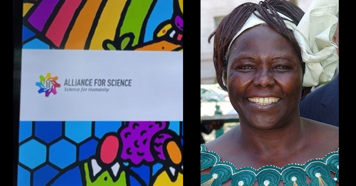 Alliance for Science co-opt Wangari Maathai legacy