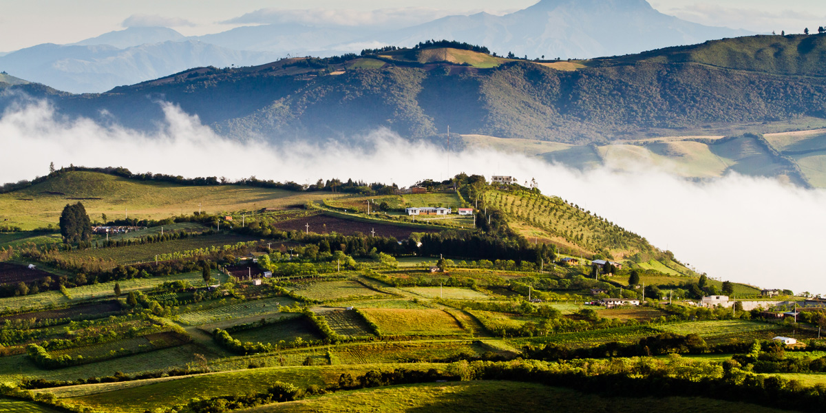 Ecuadorian farmland