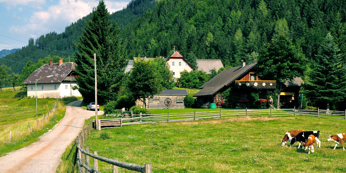 Austrian farm