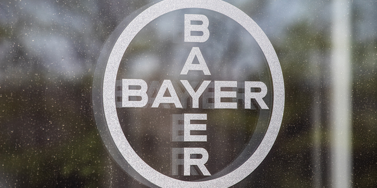 Bayer Window