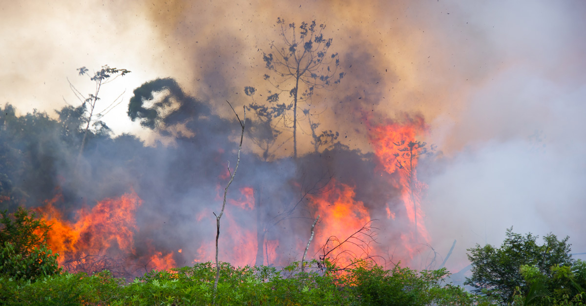 Brazilian Amazon Rain Forest Burning