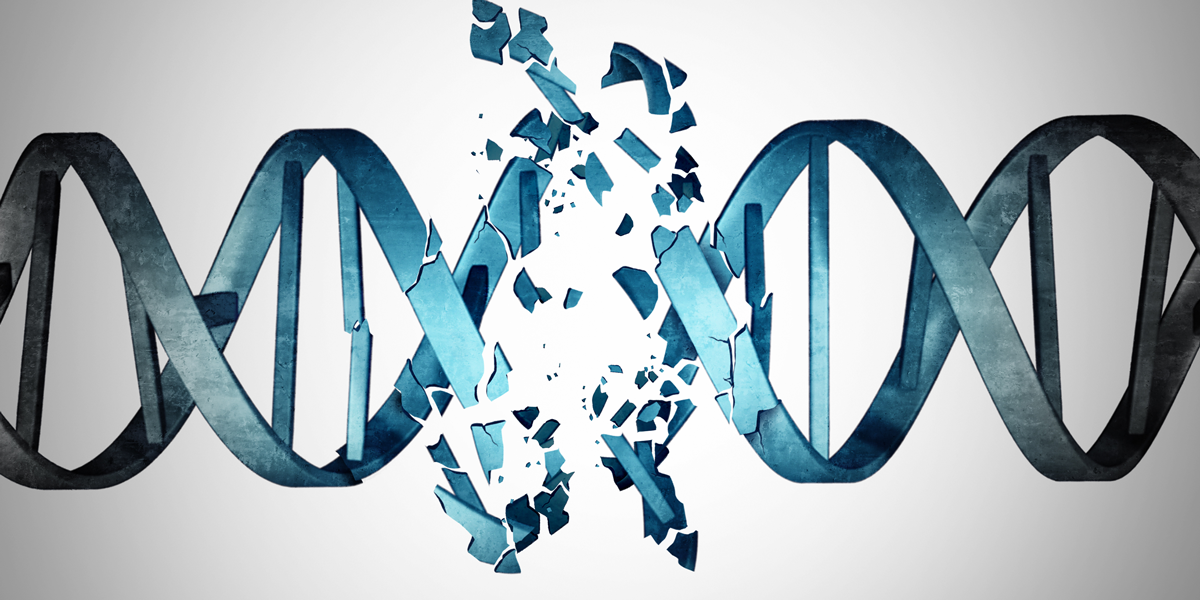 Broken DNA strand