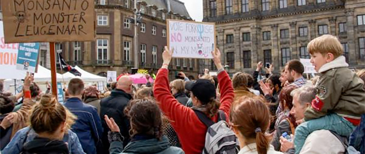 Brussels anti-gmo protest