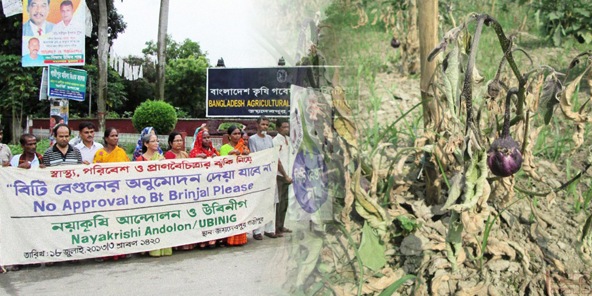 Bt Brinjal Protest outside BARI offices