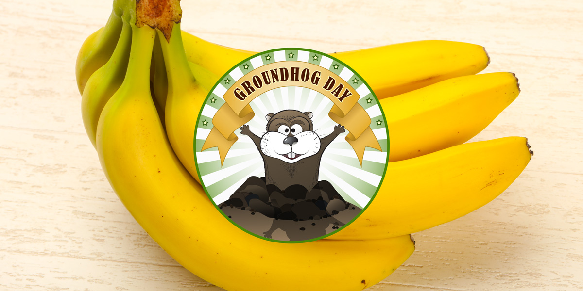 Groundhog Day and bunch of bananas