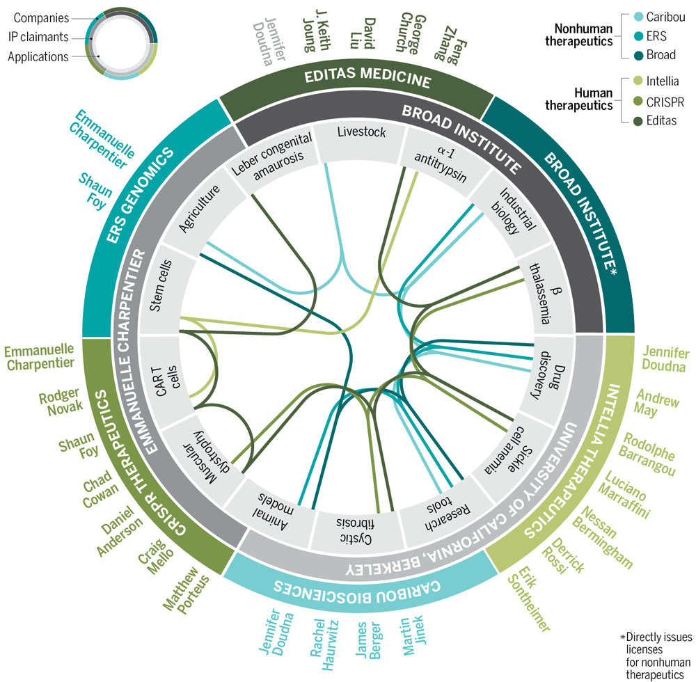 CRISPR pioneers companies Science Magazine