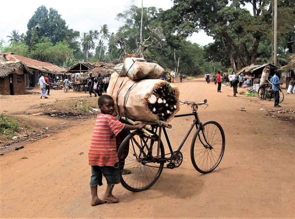 Cassava in Tanzanian village