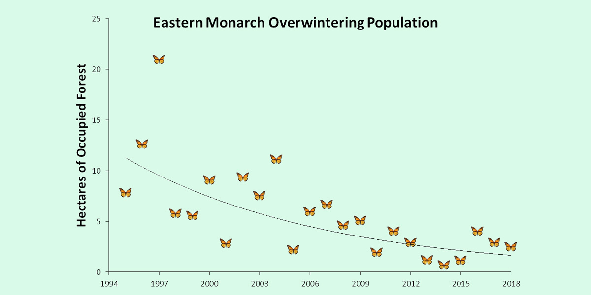 Center for Biological Diversity 2018 Eastern Monarch Winter Count
