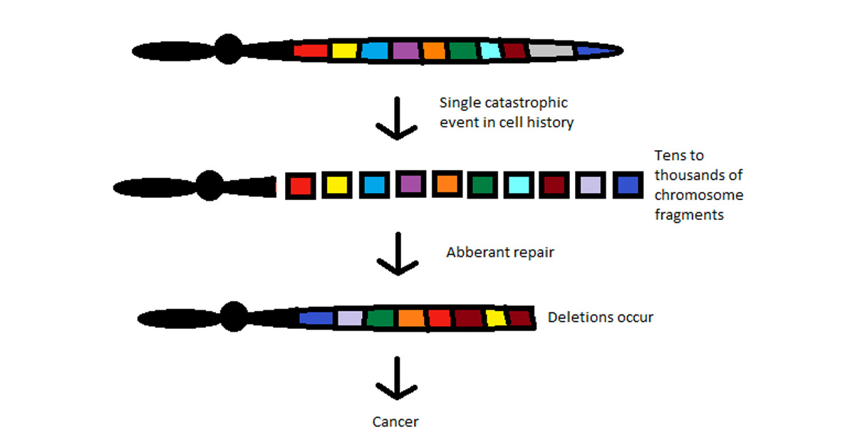 Chromothripsis the result of a single catastrophic event in a cells history