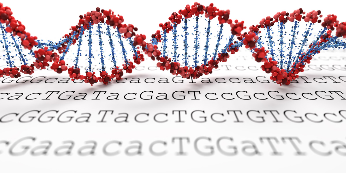 DNA Strand