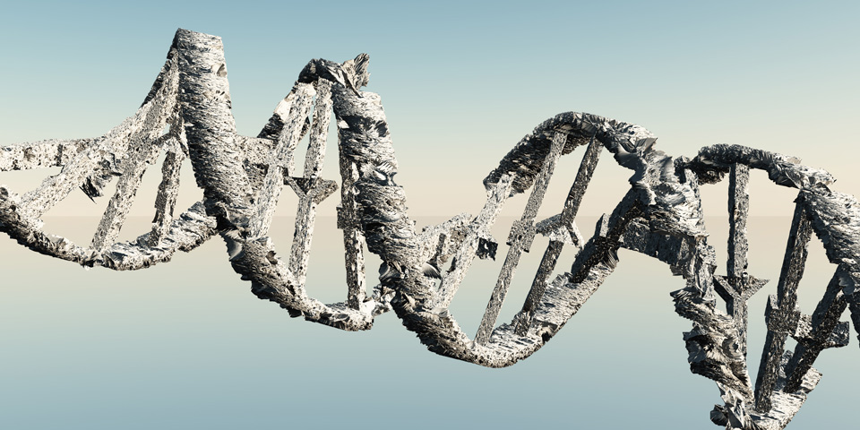 Damaged DNA Strands