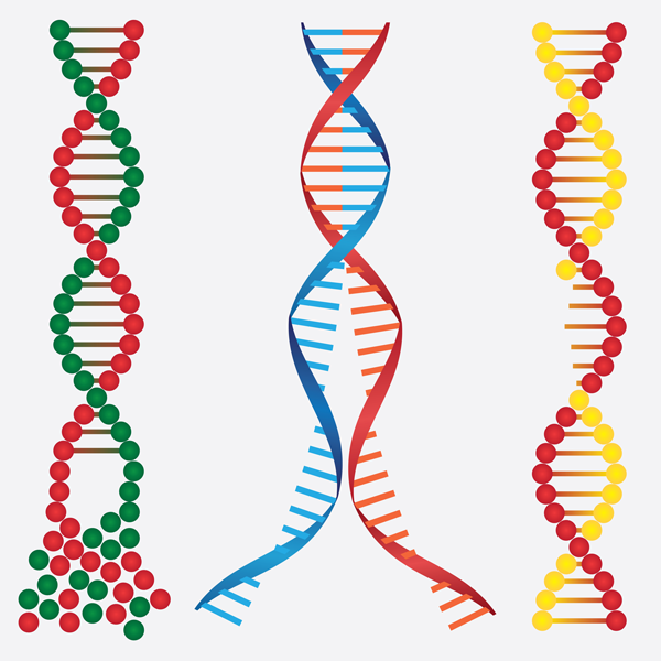 Damaged DNA