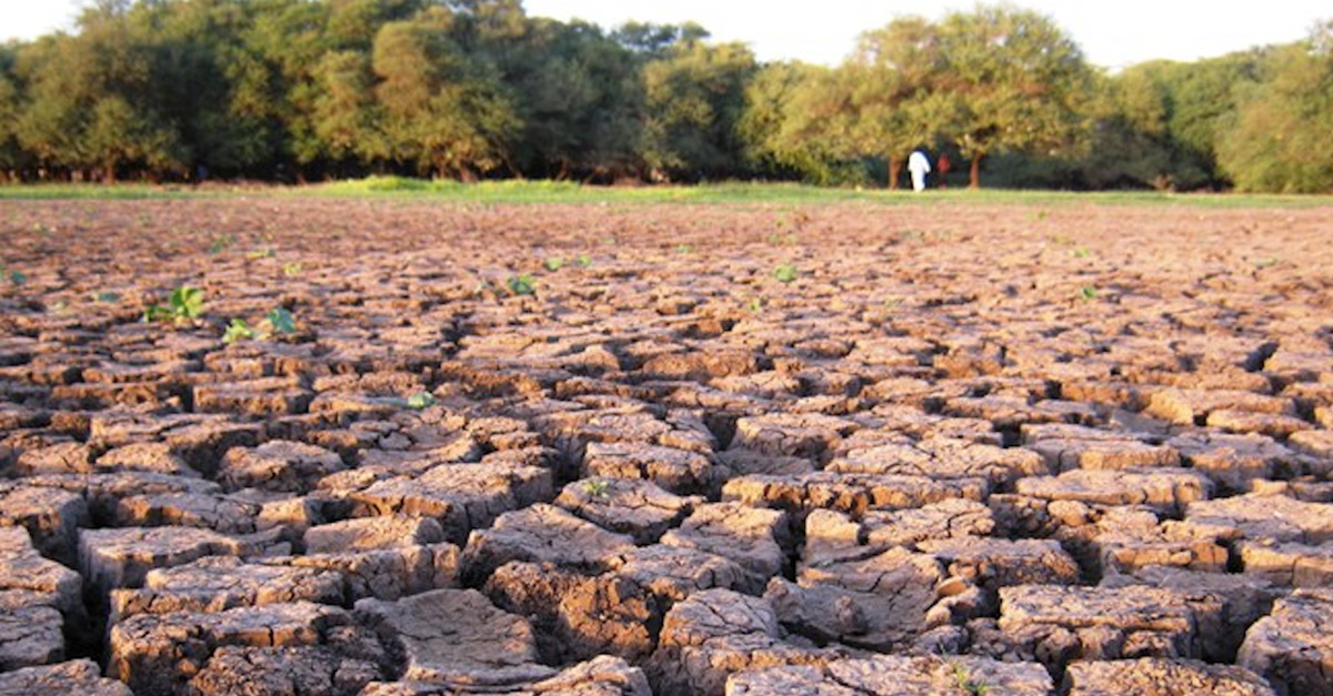 Dried and cracked soil