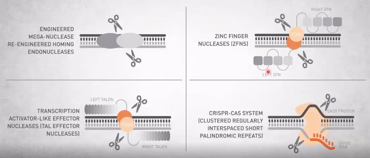 Examples of gene editing