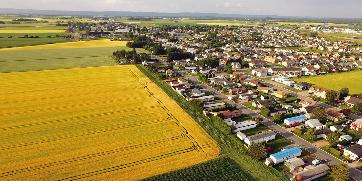 Farm Fields