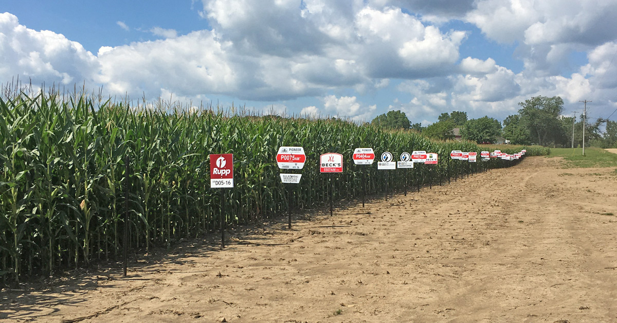 GMO field trials