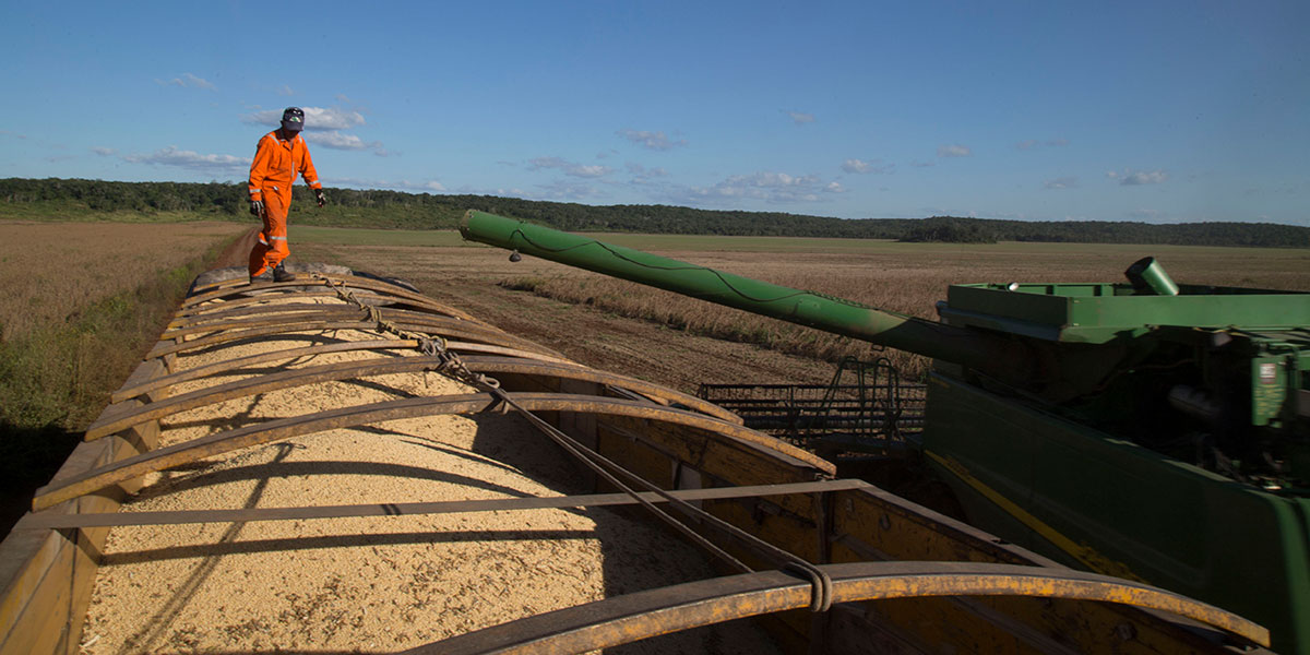 GM soy silo in Mexico