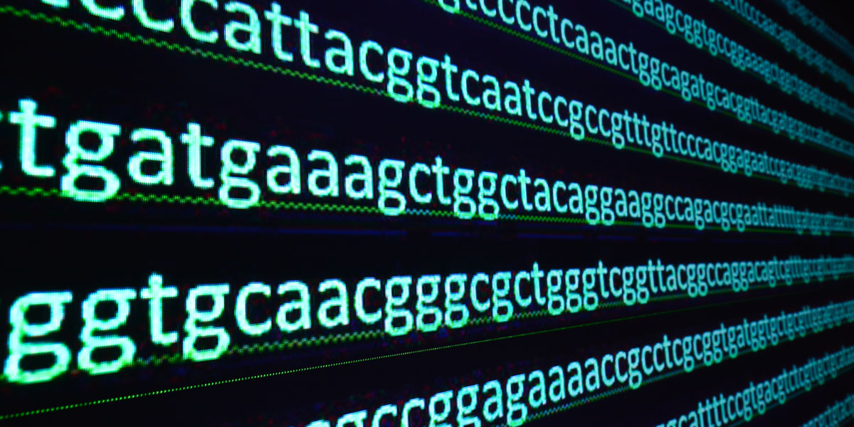 Genetic alphabet sequence