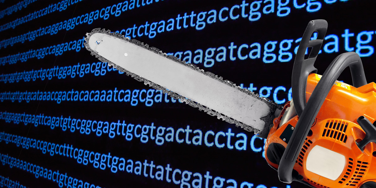 Genetic code and chainsaw