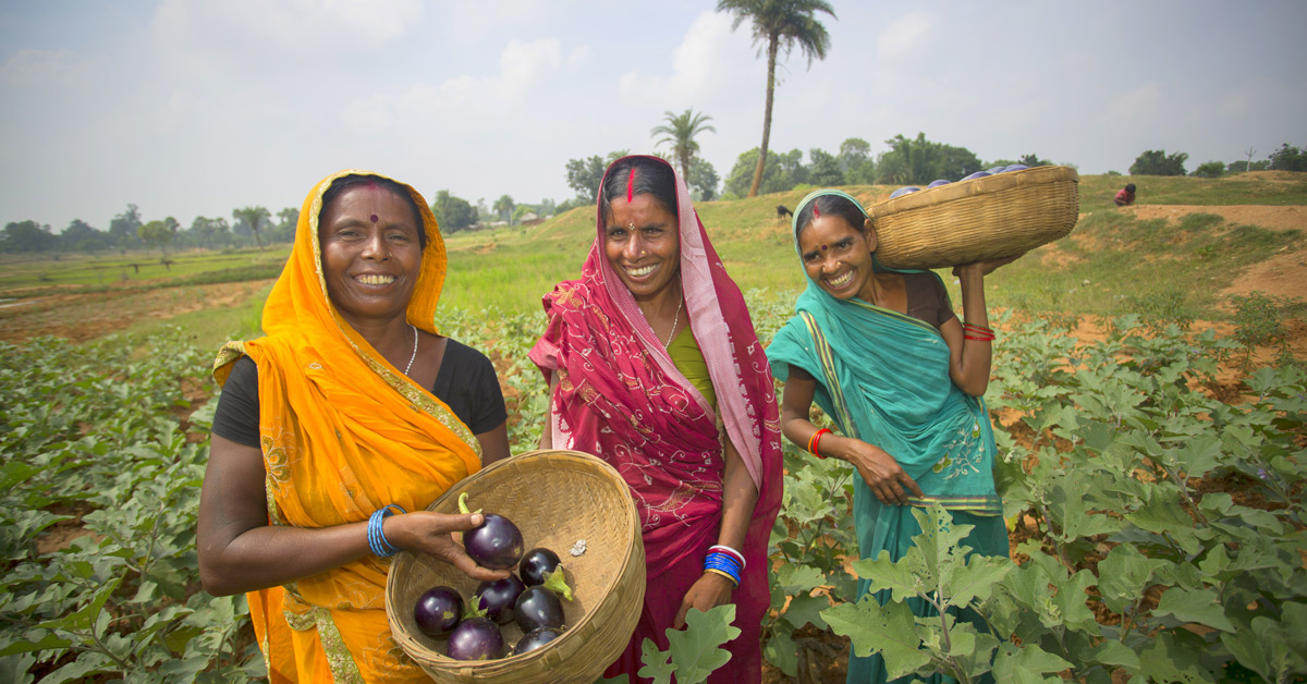 Indian Women standing in eggplant field