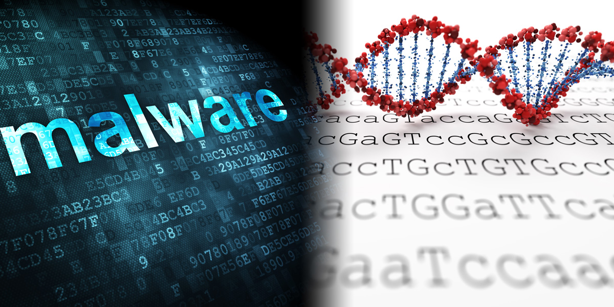 Maleware and DNA Sequence