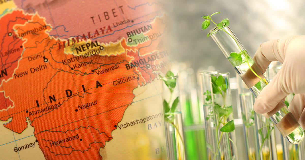 Map of India and gene edited plants in test tubes