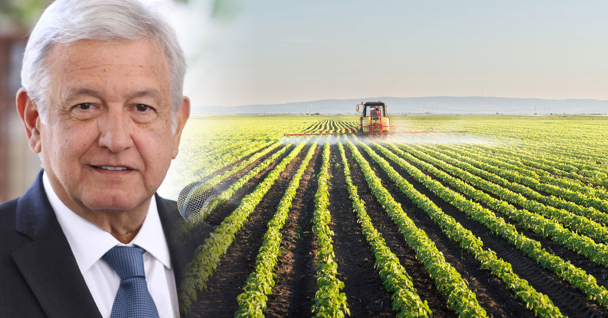 Mexico's president and Tractor spraying soybean with pesticides
