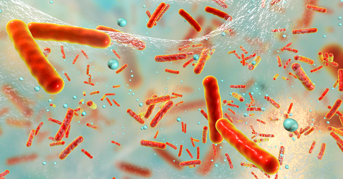 Multidrug resistant bacteria inside a biofilm