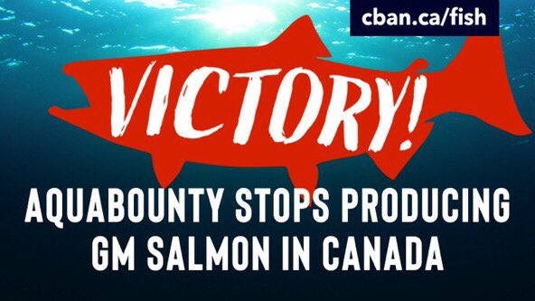No More GM Salmon in Canada