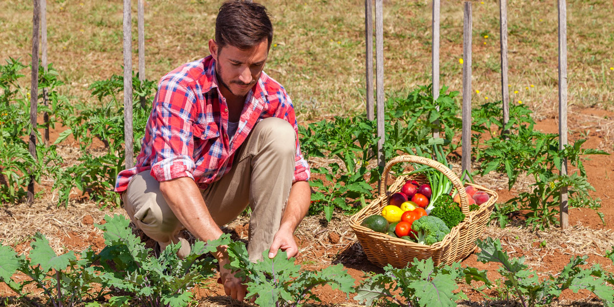 Organic Farmer