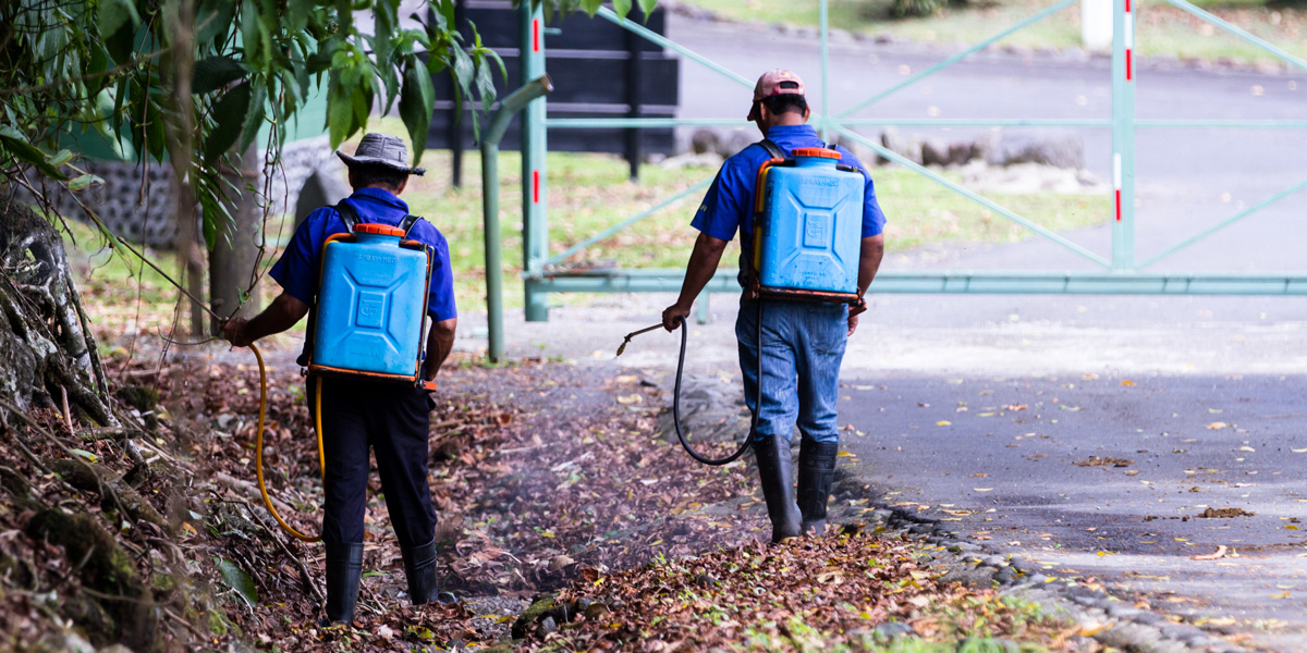 Pesticide spaying on roadside