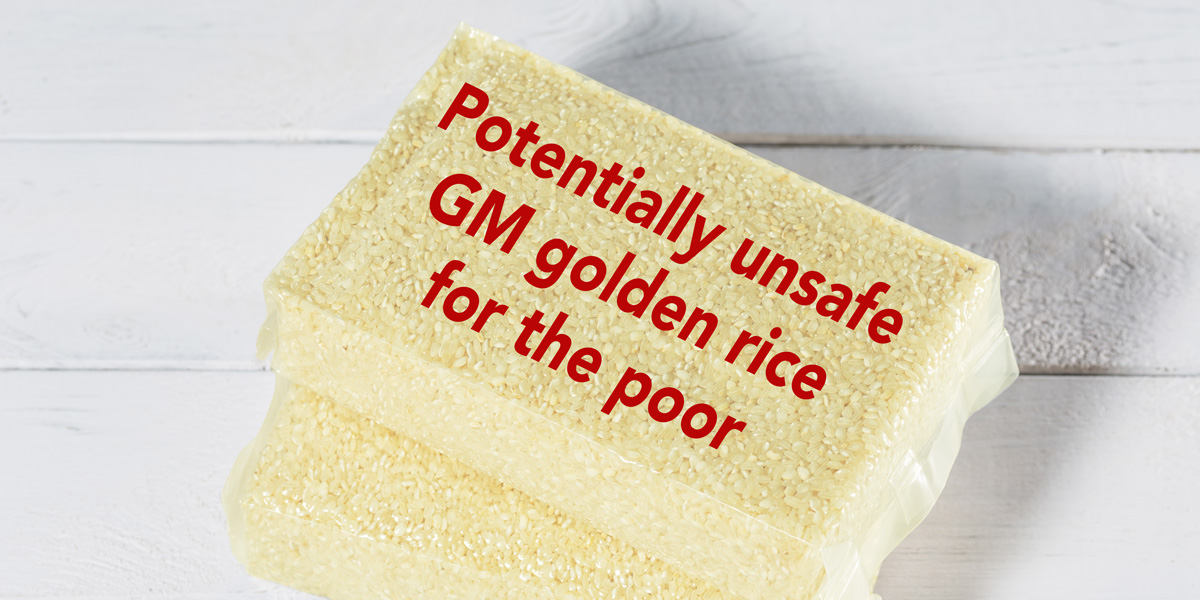 Potentially unsafe GM golden rice for the poor GM Golden Rice