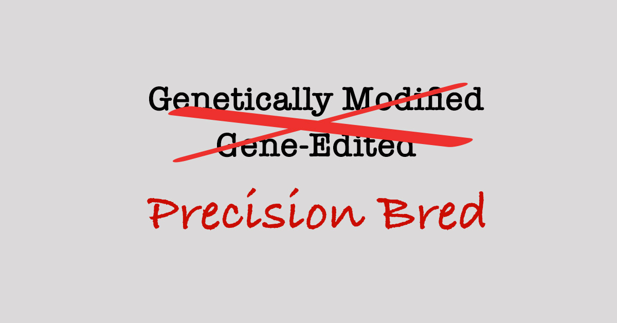 Precision Bred?