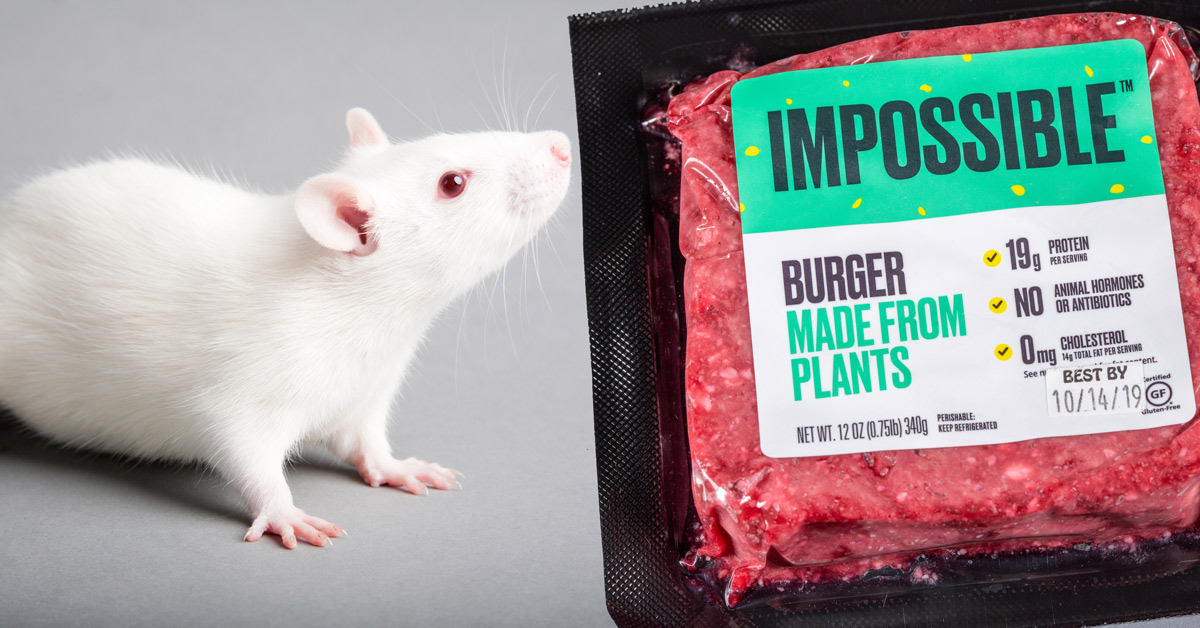 Rat and impossible burger