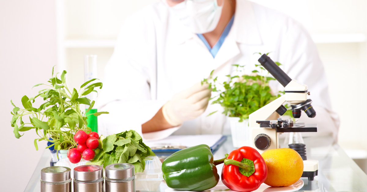 Researcher with GMO plants in laboratory
