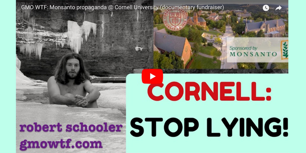 Robert Schooler - Cornell, Stop Lying